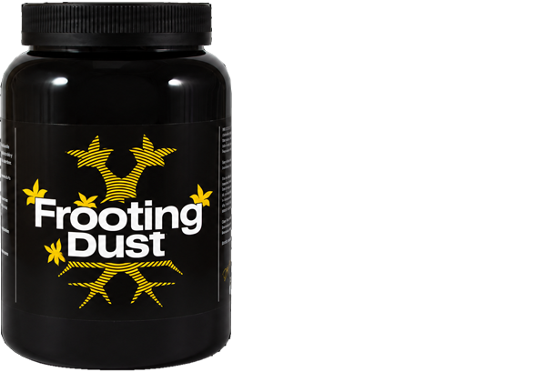 Frooting Dust